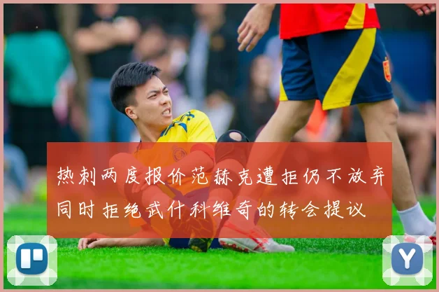 热刺两度报价范赫克遭拒仍不放弃同时拒绝武什科维奇的转会提议